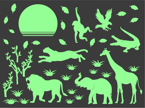 Safari Everyday Set
