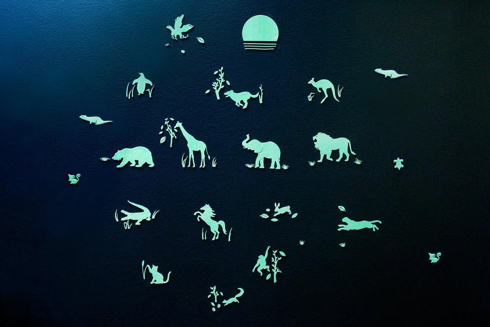 Animal Ⅱ